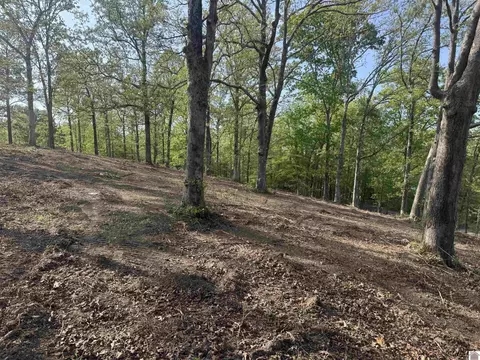 0 Sauger Ln, Murray, KY 42071 photo 19