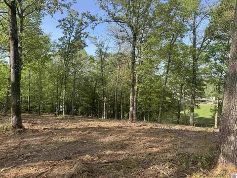 0 Sauger Ln, Murray, KY 42071 photo 20