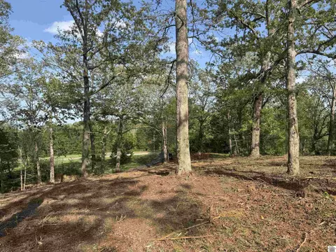 0 Sauger Ln, Murray, KY 42071 photo 21