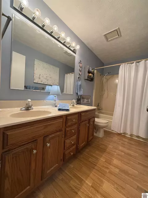 Bath - 454 Snow Rd, Murray, KY 42071 photo 3 of 3