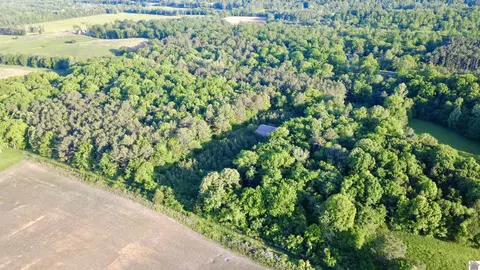 4436 Shoemaker Rd, Hazel, KY 42049 photo 27