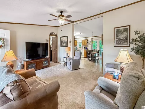 5472 Ste Rte 94e, Murray, KY 42071 photo 3