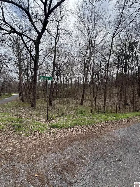 lot23 Norman Ln, Mayfield, KY 42066