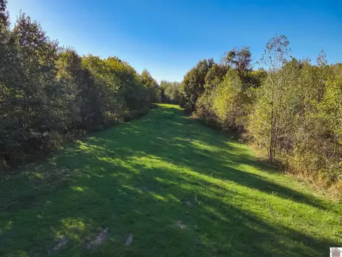 115 County Road 1039, Bardwell, KY 42023