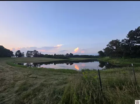 00 State Route 339, Mayfield, KY 42066