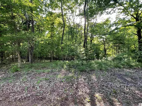lot S14x15x16x Pines Cir, Cadiz, KY 42211