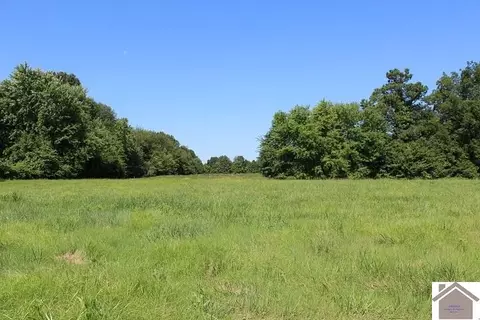 1511 Cuba Rd, Mayfield, KY 42066