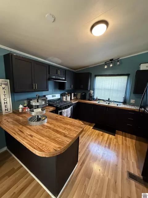 96 Obryan Cir, Almo, KY 42020 photo 7