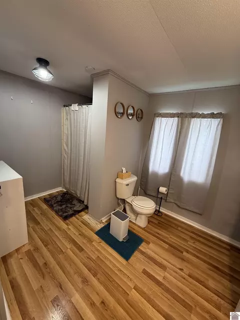 96 Obryan Cir, Almo, KY 42020 photo 12