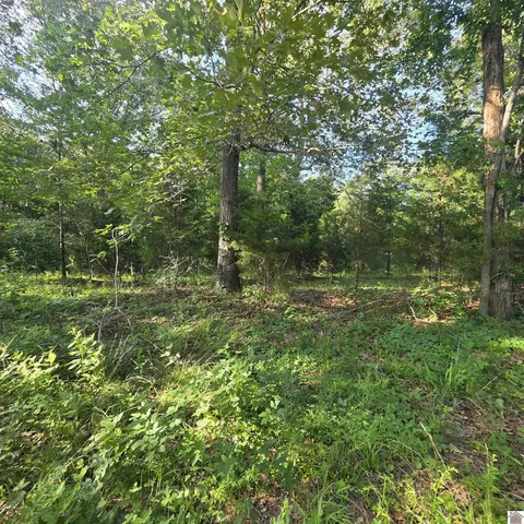 000 Valhalla, Benton, KY 42025