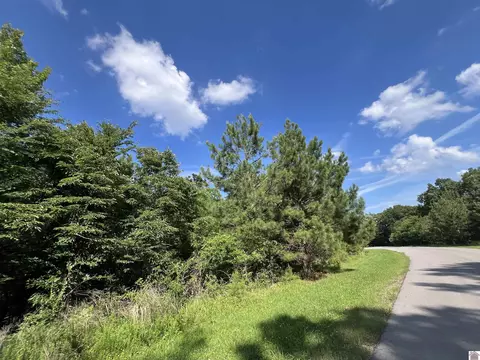 47 Waterfowl Road, Murray, KY 42071