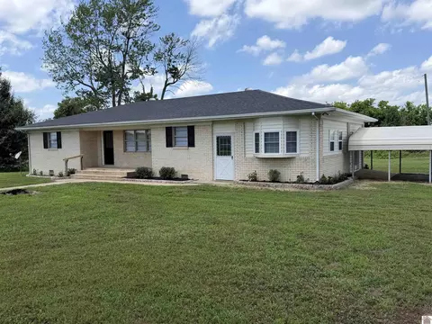 4604 State Route 339 W, Wingo, KY 42088