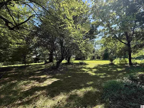 423 Williams Ln, Mayfield, KY 42066