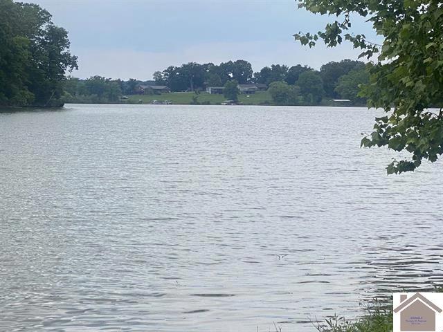 011 Breckinridge Pt, Cadiz, KY 42211