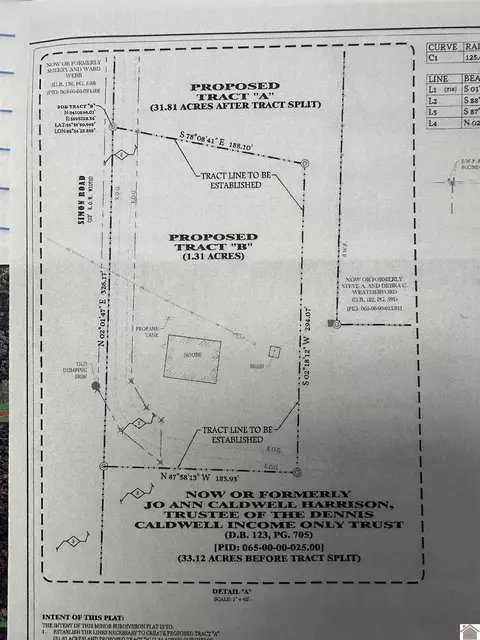 000 Simon Rd, Clinton, KY 42031