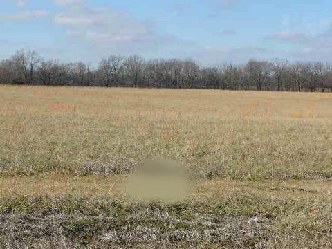 359 Burd Cir Apt Lot #LOT 18, Ledbetter, KY 42058