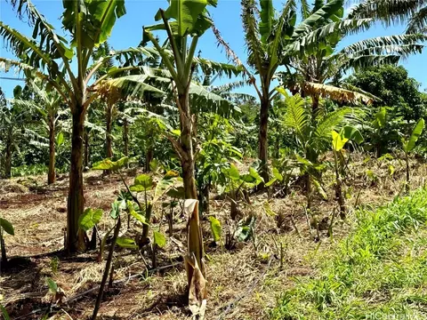 lot1 Plantation Rd, Kahuku, HI 96731