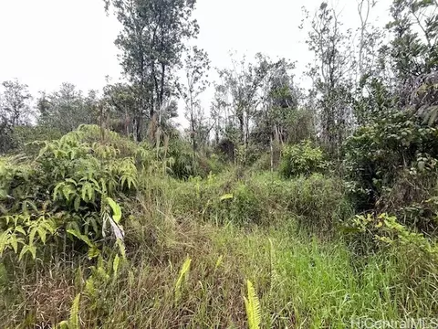 11-2872 Apuakehau Rd, Volcano, HI 96785
