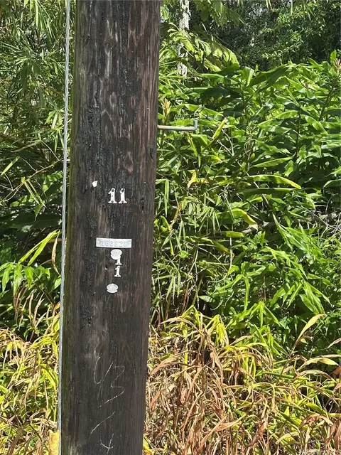 115 Kuhio Dr, Pahoa, HI 96778