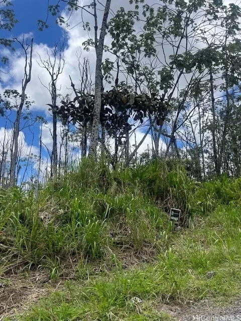 lot67 39th Ave, Pahoa, HI 96778