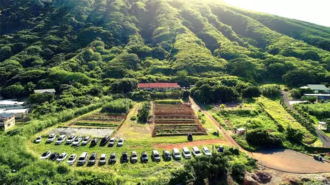 587 Pakala St, Honolulu, HI 96825