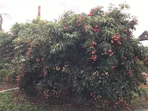 94-1100 Kunia Rd #0045 B, Waipahu, HI 96797