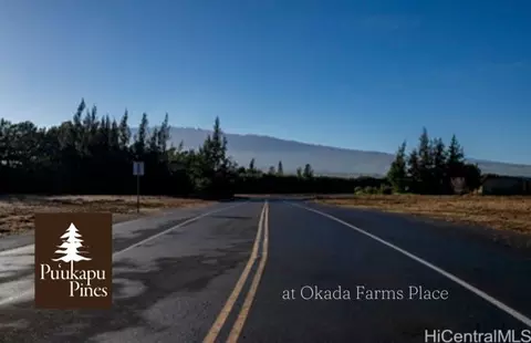 64-6102 Okada Farms Pl, Kamuela, HI 96743