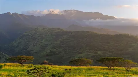 65-283 Kaukonahua Rd #4, Waialua, HI 96791