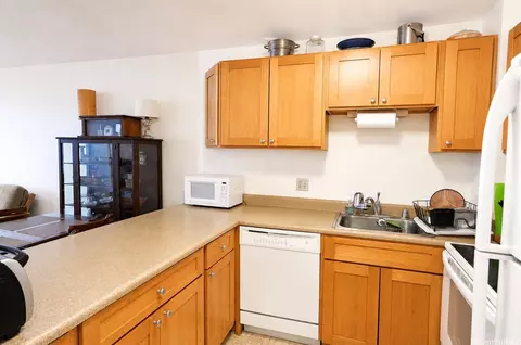 1255 Nuuanu Ave #E910, Honolulu, HI 96817