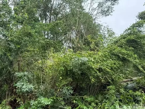 15-716 S Puni Mauka Loop, Pahoa, HI 96778