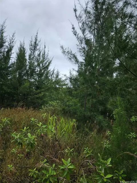 lot2782 2nd Ave #2782, Keaau, HI 96749