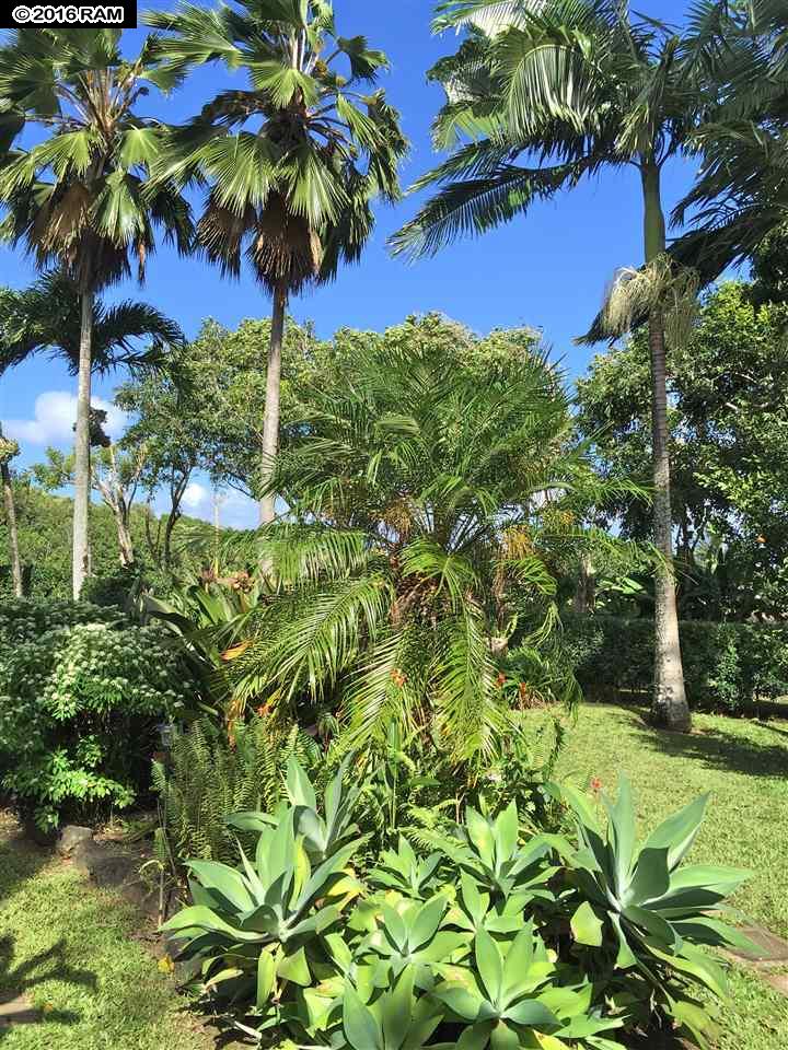 435 Hoolawa Rd, Haiku, HI 96708 photo 23
