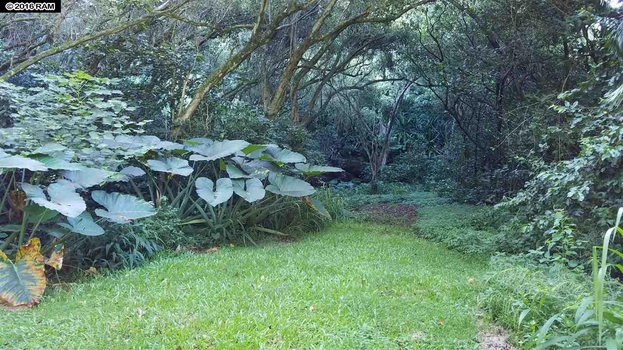 112 Kahiapo Pl, Haiku, HI 96708 photo 15