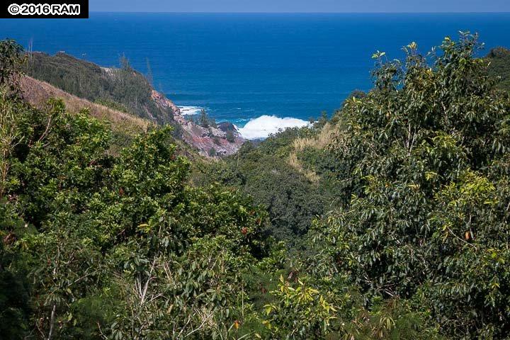 112 Kahiapo Pl, Haiku, HI 96708 photo 28