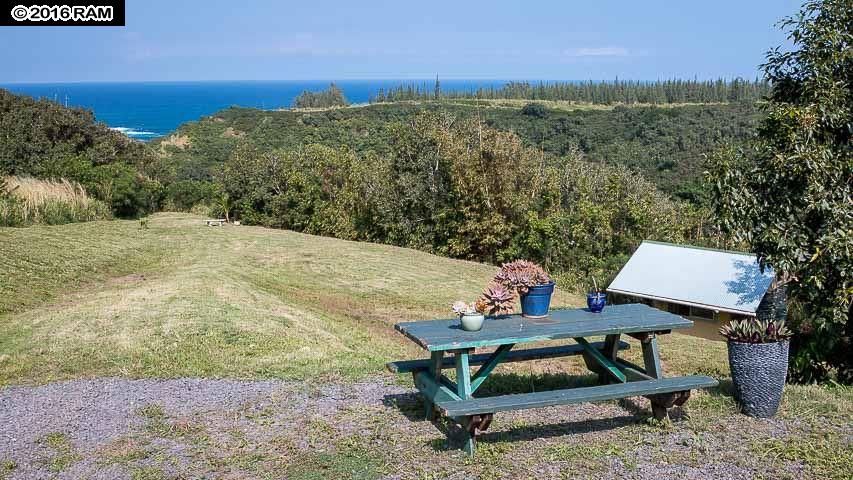 112 Kahiapo Pl, Haiku, HI 96708 photo 24