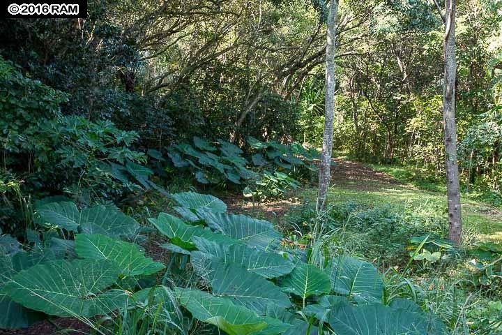 112 Kahiapo Pl, Haiku, HI 96708 photo 16