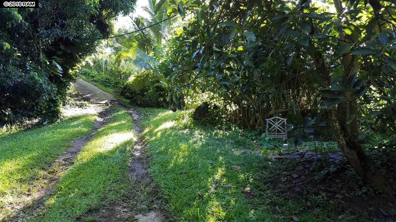 112 Kahiapo Pl, Haiku, HI 96708 photo 22