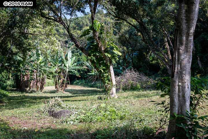 112 Kahiapo Pl, Haiku, HI 96708 photo 17
