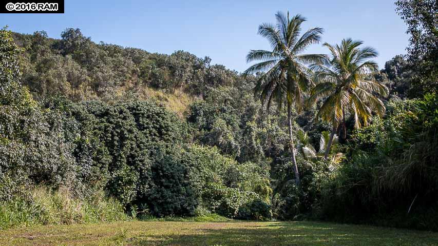 112 Kahiapo Pl, Haiku, HI 96708 photo 10