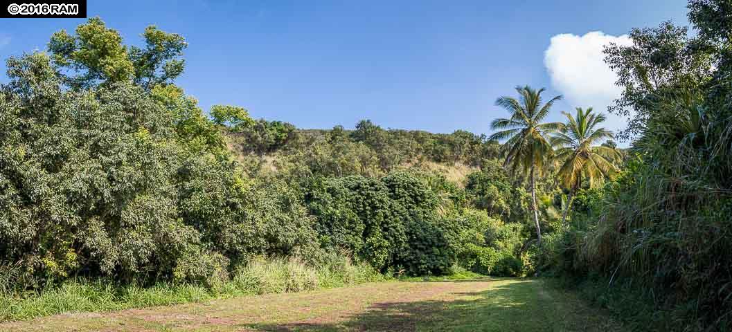 112 Kahiapo Pl, Haiku, HI 96708 photo 14