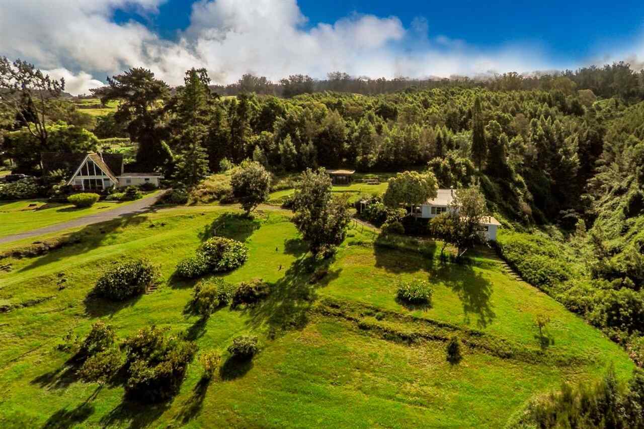 1100 Upper Kimo Dr, Kula, HI 96790 photo 1