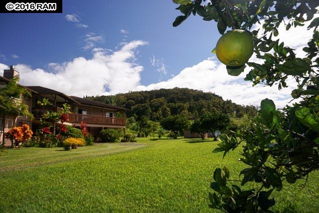 55 Eono Pl, Haiku, HI 96708 photo 18