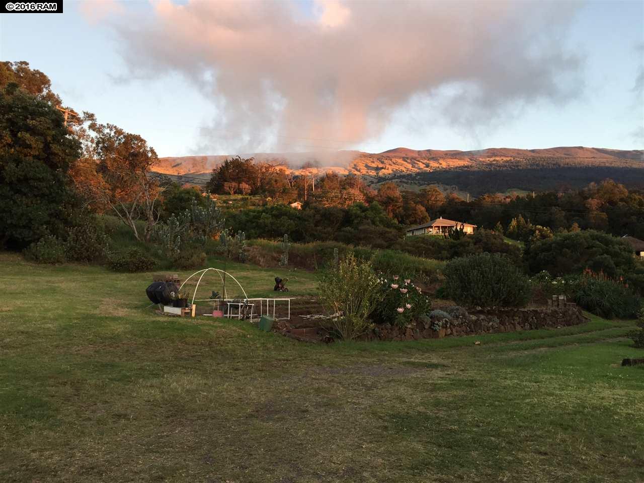 31 Hapapa Rd, Kula, HI 96790 photo 24