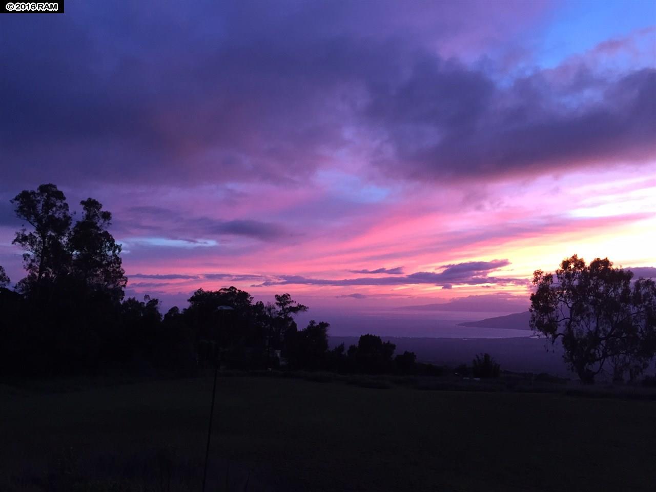 31 Hapapa Rd, Kula, HI 96790 photo 22