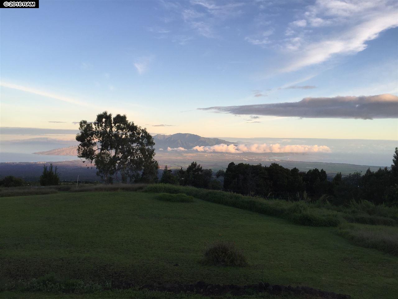 31 Hapapa Rd, Kula, HI 96790 photo 25