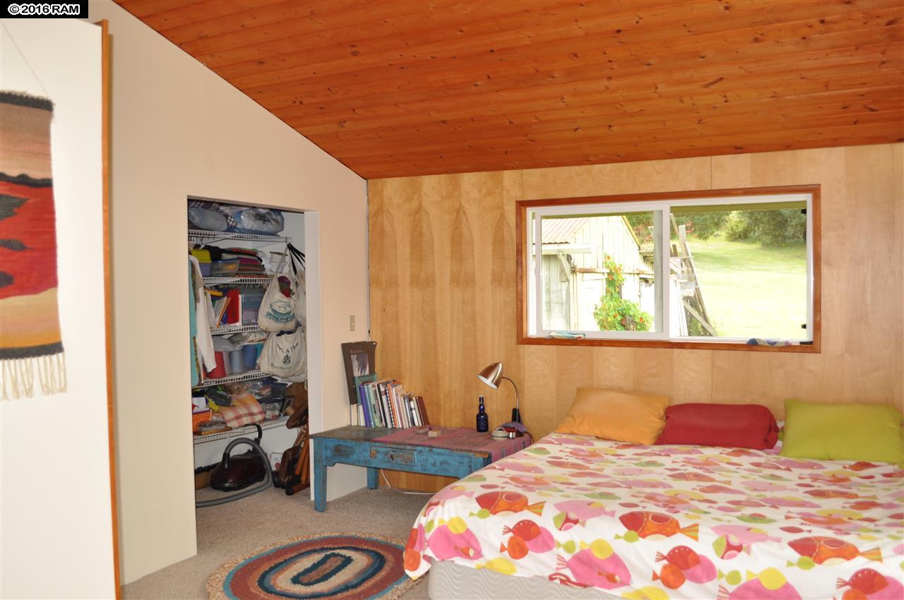 31 Hapapa Rd, Kula, HI 96790 photo 10