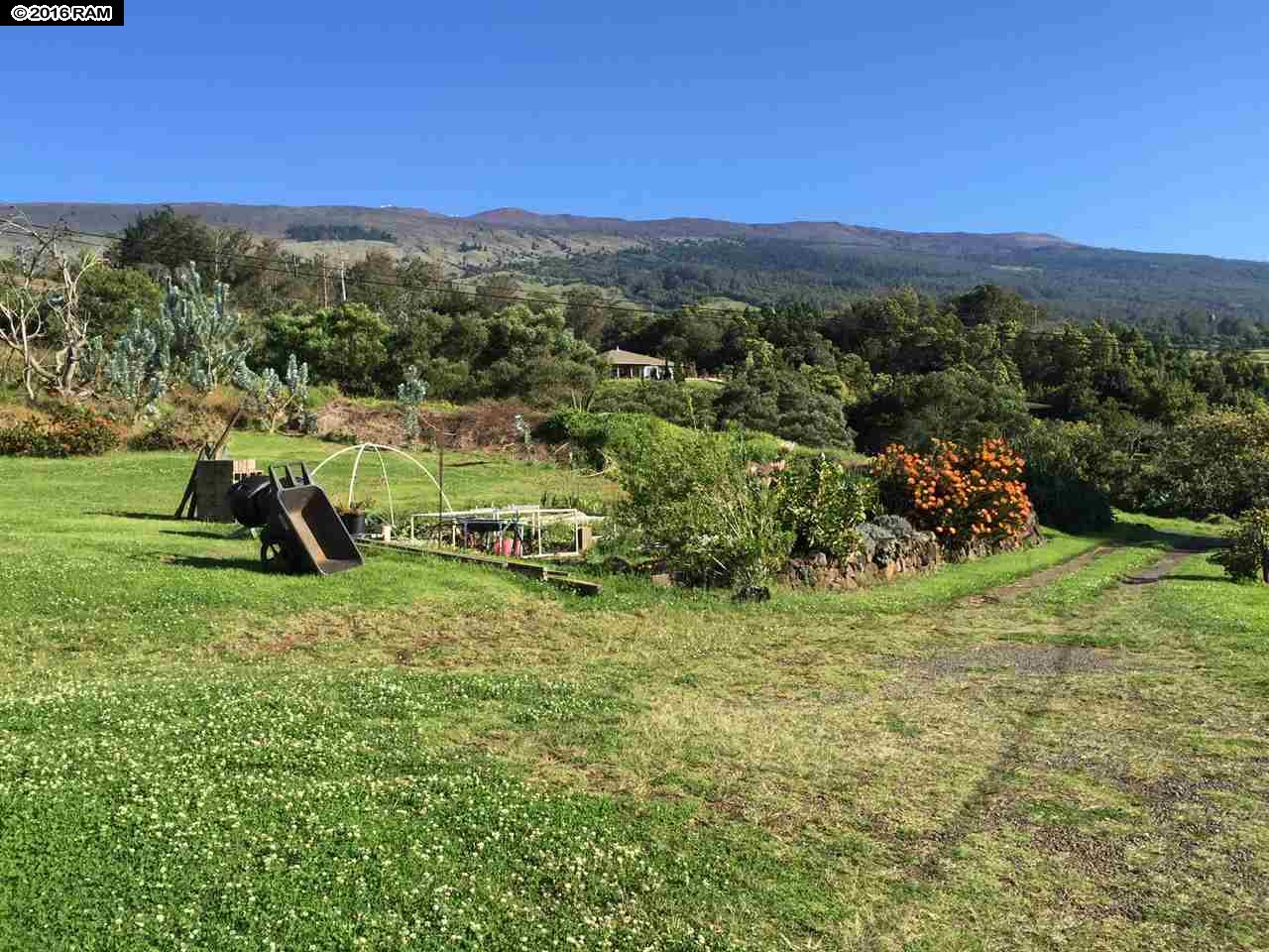 31 Hapapa Rd, Kula, HI 96790 photo 23