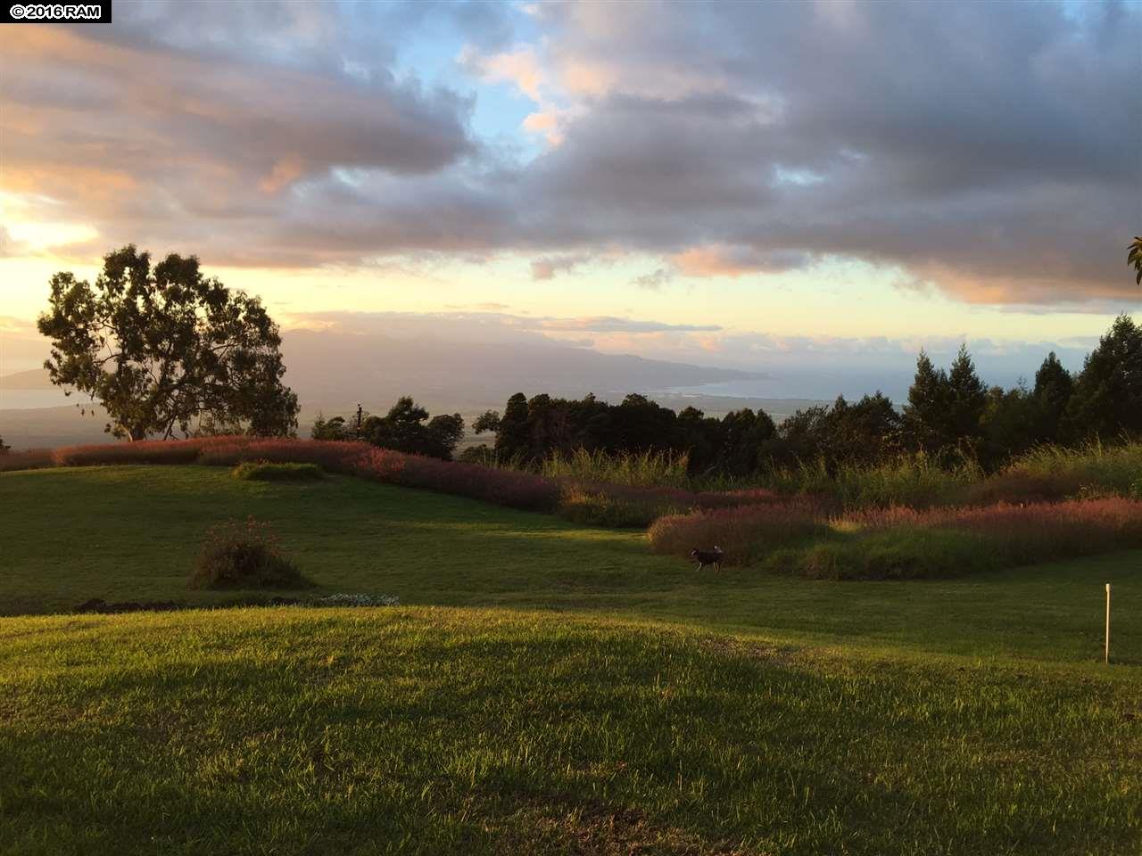 31 Hapapa Rd, Kula, HI 96790 photo 26