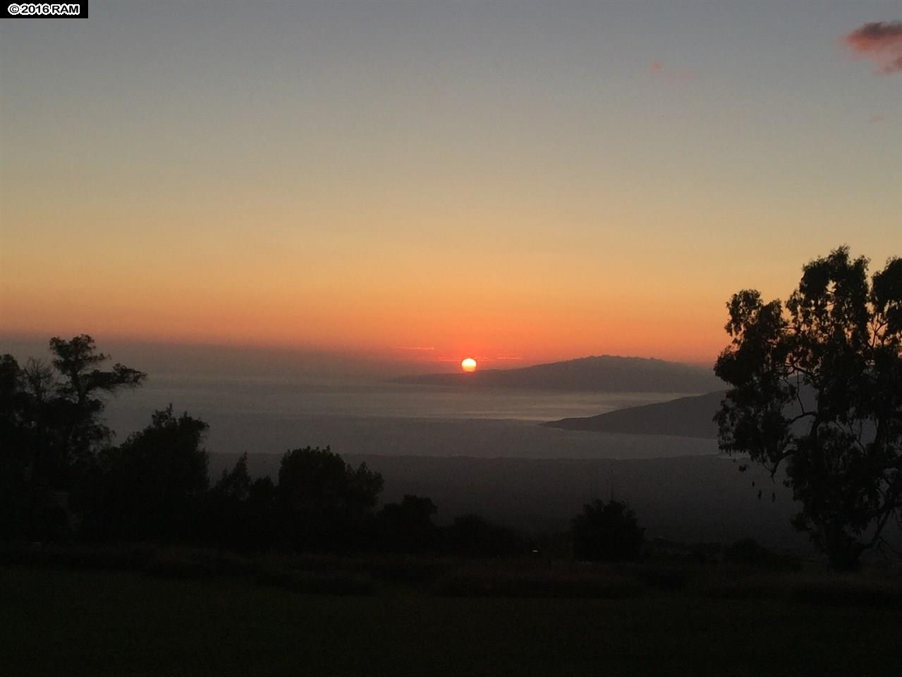 31 Hapapa Rd, Kula, HI 96790 photo 21