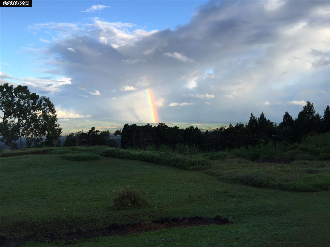 31 Hapapa Rd, Kula, HI 96790 photo 28